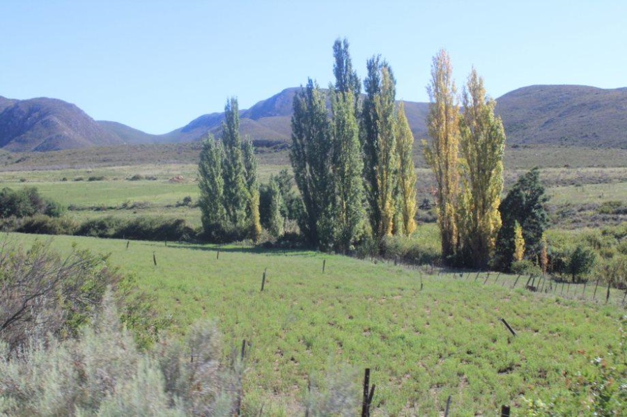 0 Bedroom Property for Sale in Haarlem Western Cape